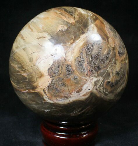Colorful Petrified Wood Sphere #20607